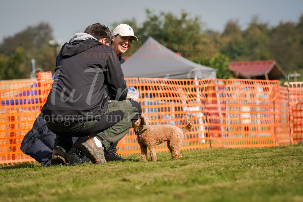 20250928_Hunderennen-277 | MuT (Mensch und Tier) mit Mona - Fotografie und Tierkommunikation - Realisiert mit Pictrs.com