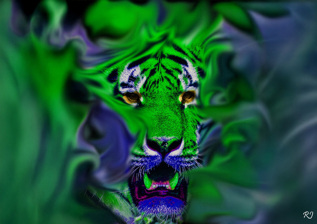 21 | raphyshop. - Realisiert mit Pictrs.com