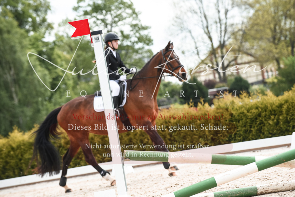 20230518_JK-Röhrsdorf-10-198 | Pferde- und Turnierfotografie in Westsachsen. Pferdeportraits, Auftragszeichnungen und intuitive Kunst.
