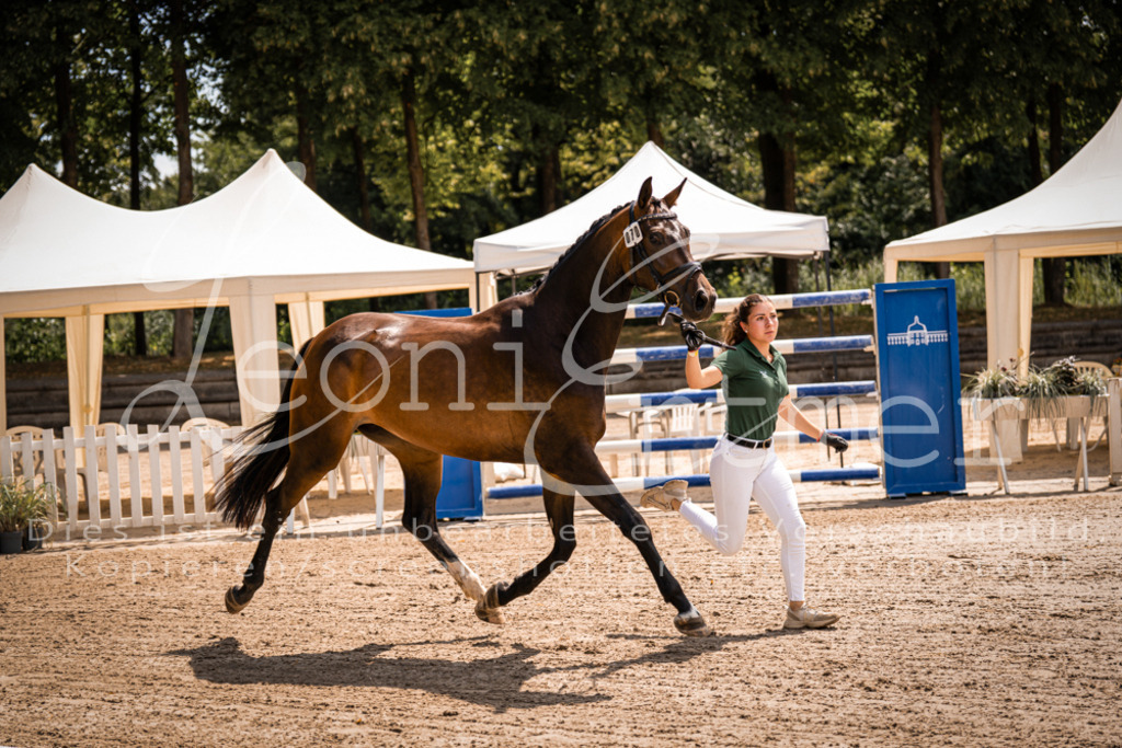 1.Fr00091 | Leoni Ertmer Photography - Realisiert mit Pictrs.com