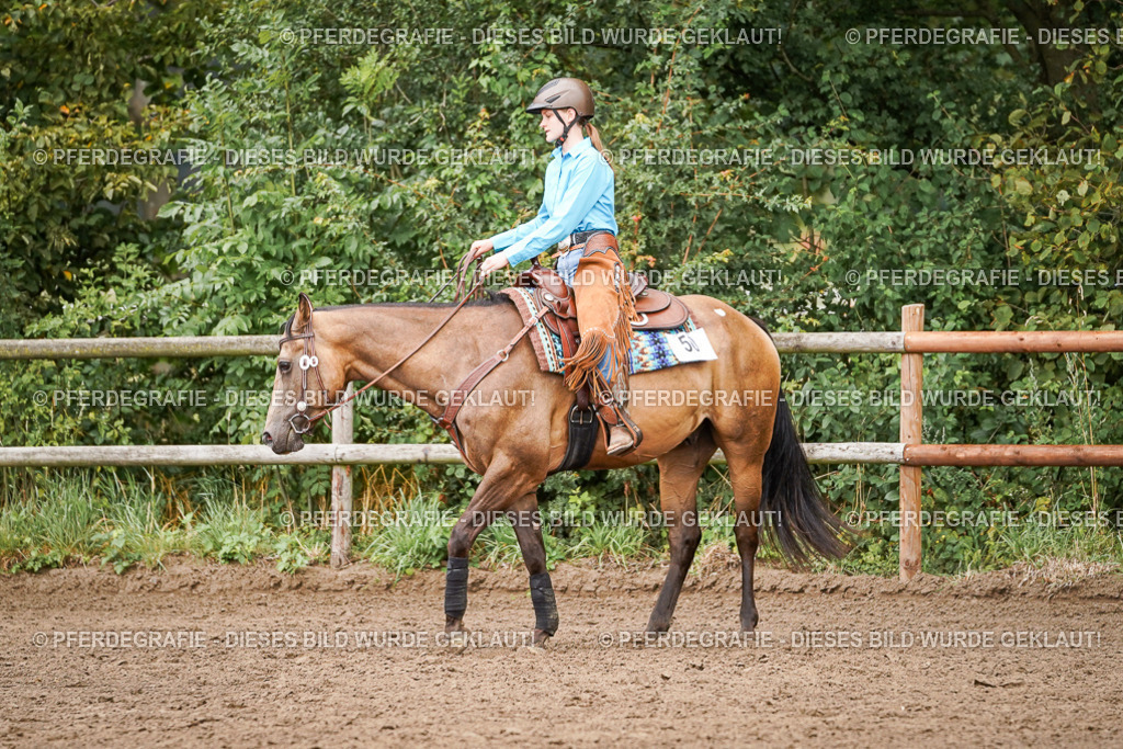 DSC08132 | Pferdegrafie