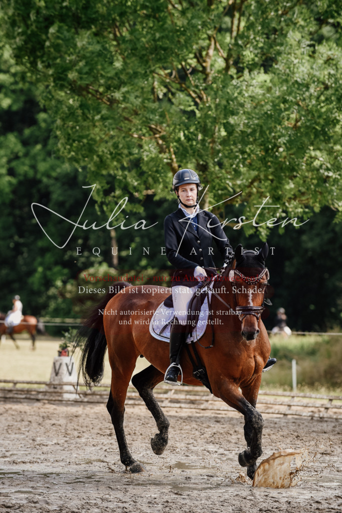 DSC_0441 | Pferde- und Turnierfotografie in Westsachsen. Pferdeportraits, Auftragszeichnungen und intuitive Kunst.