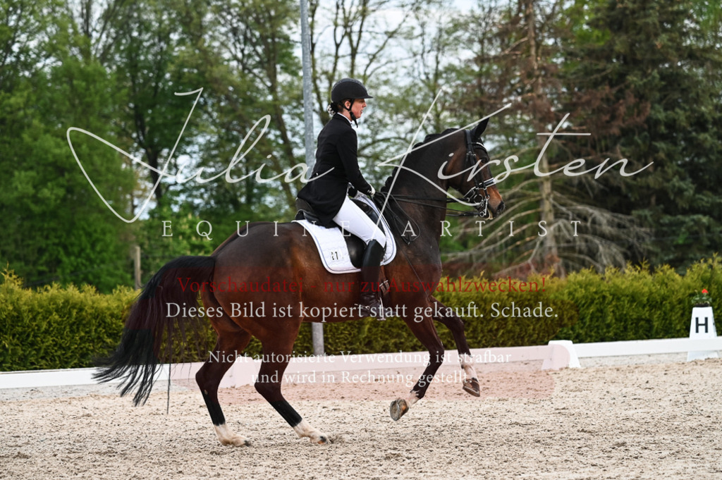 20230513_JK-Röhrsdorf-13-362 | Pferde- und Turnierfotografie in Westsachsen. Pferdeportraits, Auftragszeichnungen und intuitive Kunst.