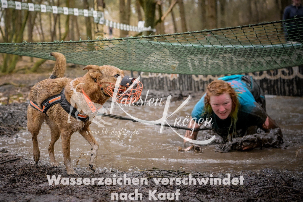 0915_ZZ96928 | kk-dogfotos