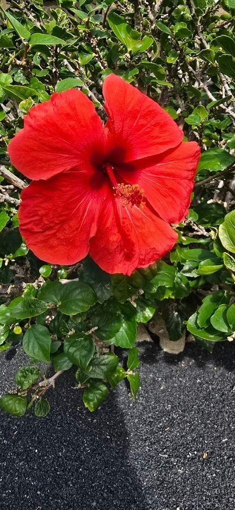 20241205_151203 | Heilkarten - Realisiert mit Pictrs.com