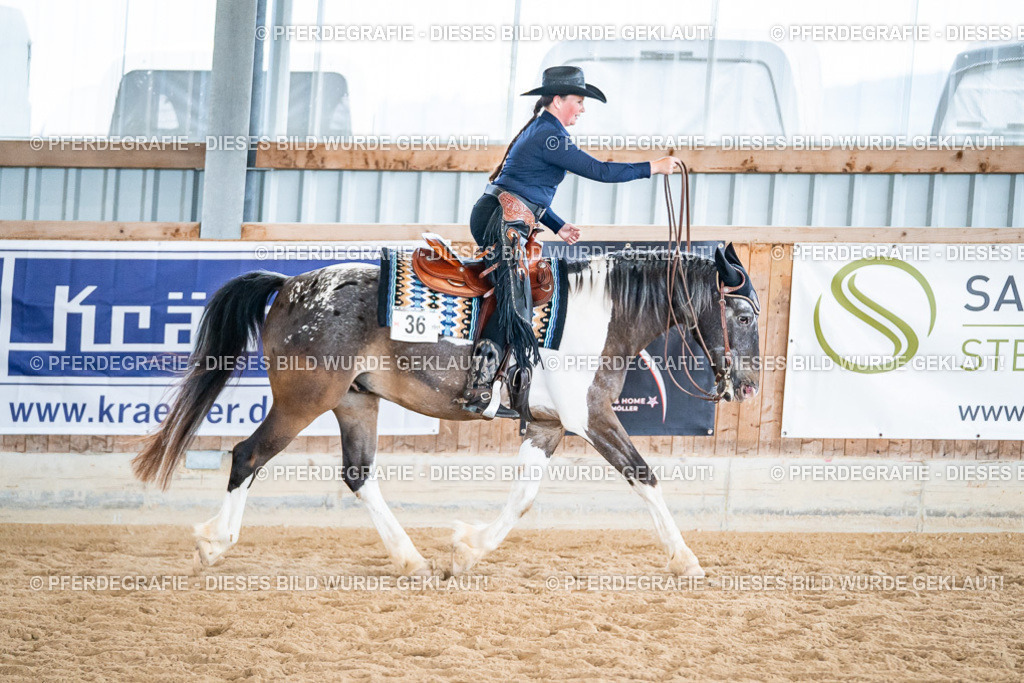 DSC02822 | Pferdegrafie