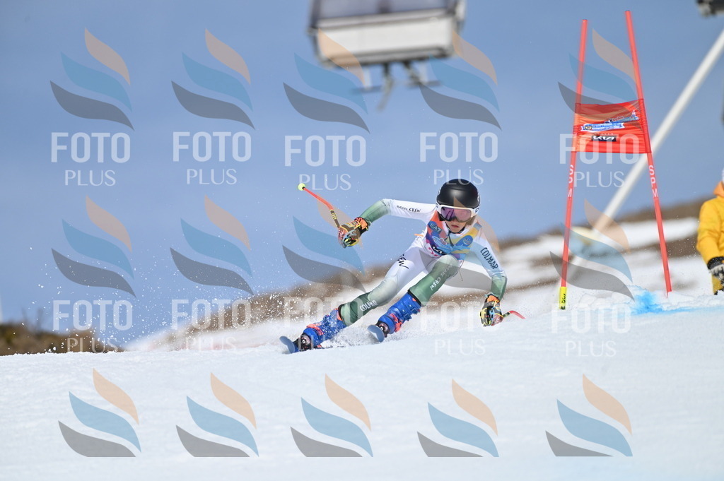 BGV_1101 | holidayphoto