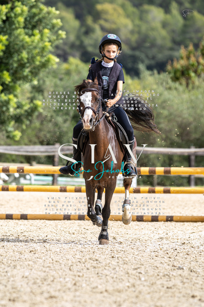 IMG_2716 | s-jay-photography - Realisiert mit Pictrs.com