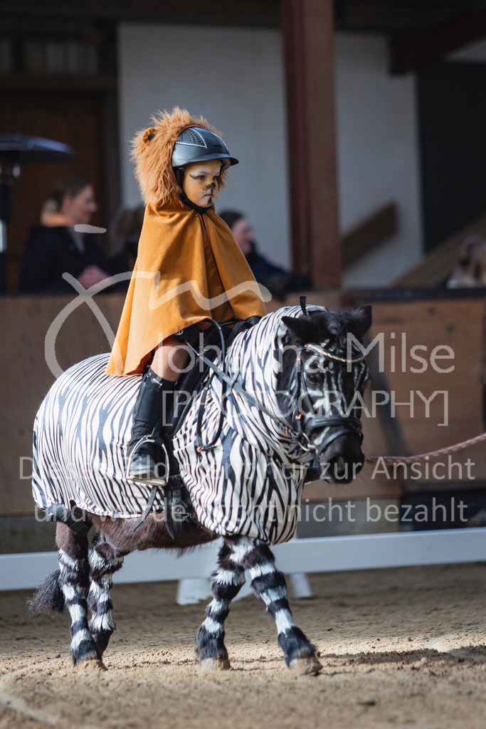 250316_HF-Schwm_Fuehrzuegel-117 | Deine schönsten Turniermomente als professionelle Fotos! Entdecke hochwertige Pferdesport-Fotografie im Online-Shop. Jetzt Fotos finden & bestellen!