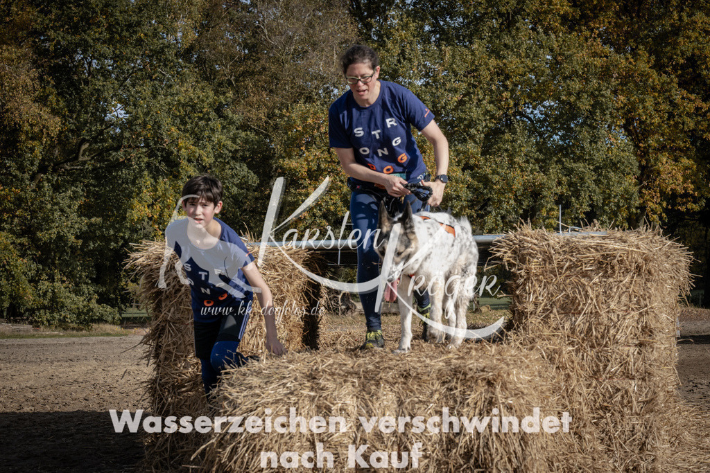 1158_ZZ93347 | kk-dogfotos