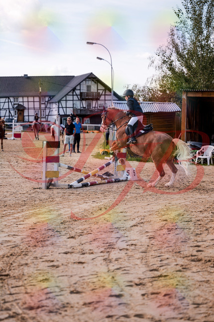 2026_10_03_Siefer-Hof_144518_Z81_20404117 | Professionelle Reitsport-, Turnier- und Eventfotografie von Robert Broda. Galerien mit ausgewählten und bearbeiteten Bildern direkt online ansehen und bestellen.