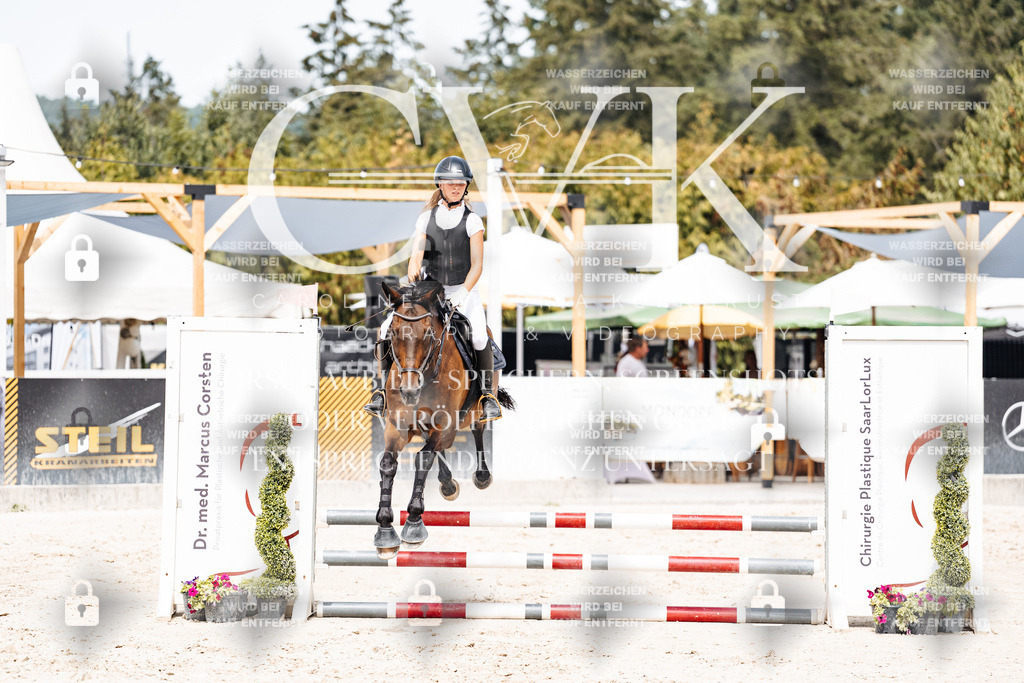 CK906735 | Turnierfotografie Pferdefotografie Trier Rheinland-Pfalz Pferdesport Reitsport Tierfotografie Sportfotografie Pferdevideo Pferdevideografie Equestrianvideography equestrianphotography  - Realisiert mit Pictrs.com