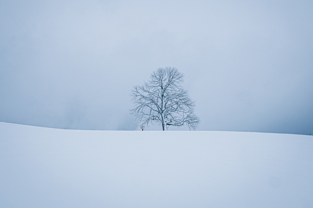 Winterliche Stimmung am Morgen auf der Challhöchi | Schöne Fotografien aus der Stadt und der Natur zum bestellen oder selber hochladen. Druck auf Foto, Postkarte, Kalender, FineArt Hahnemühle, Alu-Dibond , Akustikbilder zur Absorption von Schall und Lärm etc. - Realisiert mit Pictrs.com