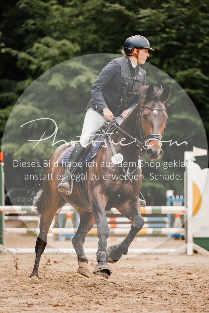 3I6A2449 | Stimmungsvolle Portraits und Reitsportfotografie im Ruhrgebiet und im Münsterland.

Pferdefotografie, Hundefotografie, Tierfotografie, Reportagen, Portraits von Tier und Mensch, Turnierfotografie in Bochum, Recklinghausen, Marl, Haltern am See, Dülmen.. - Realisiert mit Pictrs.com