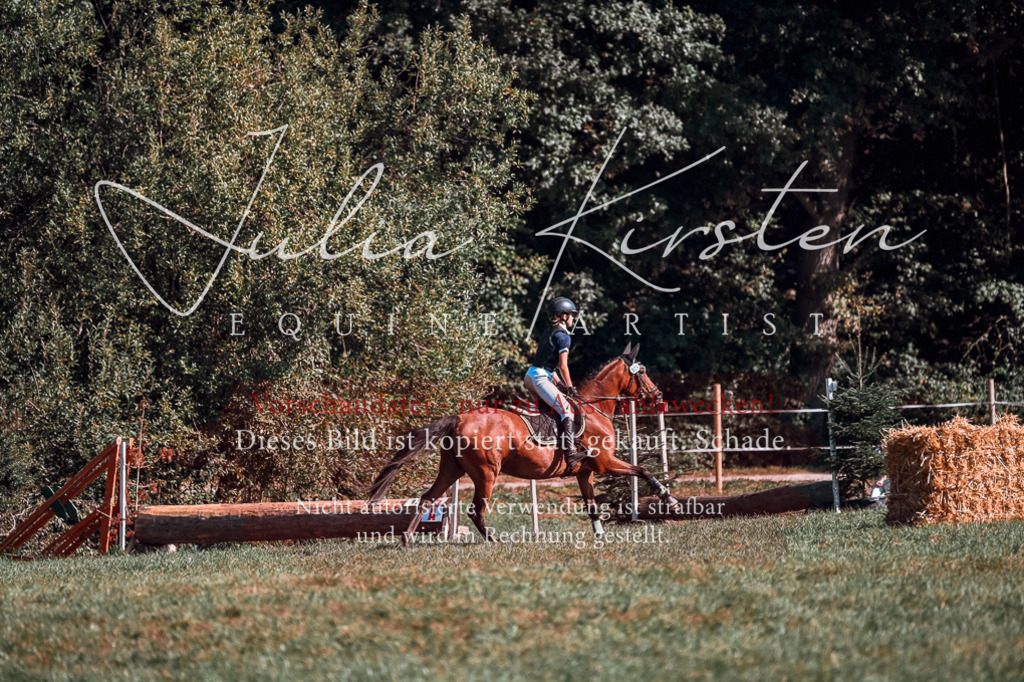 DSC_0964 | Pferde- und Turnierfotografie in Westsachsen. Pferdeportraits, Auftragszeichnungen und intuitive Kunst.