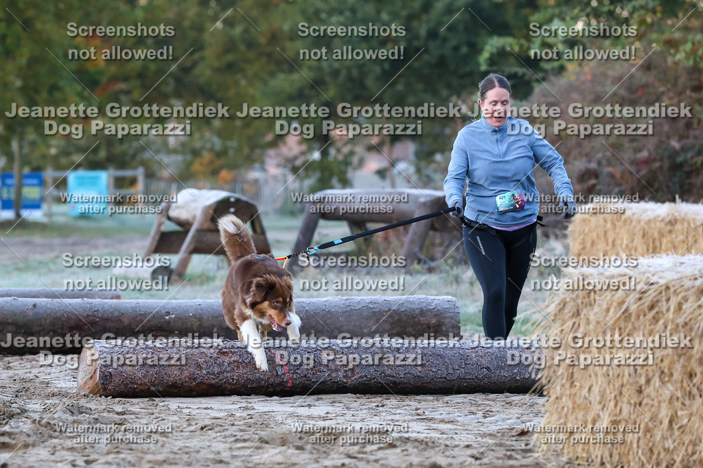 Dog Paparazzi - Strongdog 10-25-117 | Dog Paparazzi Jeanette Grottendiek Fotografie & Videografie - Realisiert mit Pictrs.com