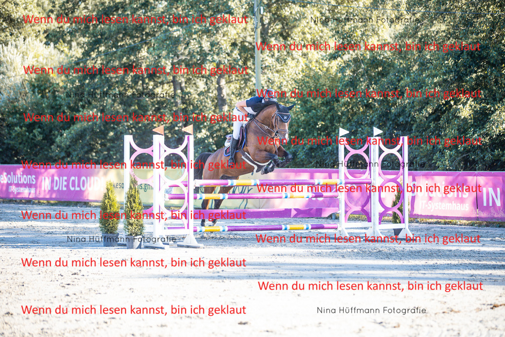 BK1A6180 | Turnierbilder Turnierfotos Nina Hüffmann Turnierfotografie Pferdefotografie Tierzeichnung Haustierzeichnung Pferdezeichnung Hundezeichnung Videograf  - Realisiert mit Pictrs.com