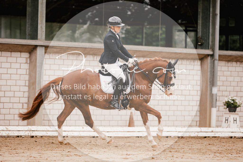 3I6A7808 | Stimmungsvolle Portraits und Reitsportfotografie im Ruhrgebiet und im Münsterland.

Pferdefotografie, Hundefotografie, Tierfotografie, Reportagen, Portraits von Tier und Mensch, Turnierfotografie in Bochum, Recklinghausen, Marl, Haltern am See, Dülmen.. - Realisiert mit Pictrs.com