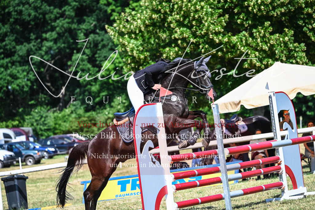 DSC_1640 | Pferde- und Turnierfotografie in Westsachsen. Pferdeportraits, Auftragszeichnungen und intuitive Kunst.