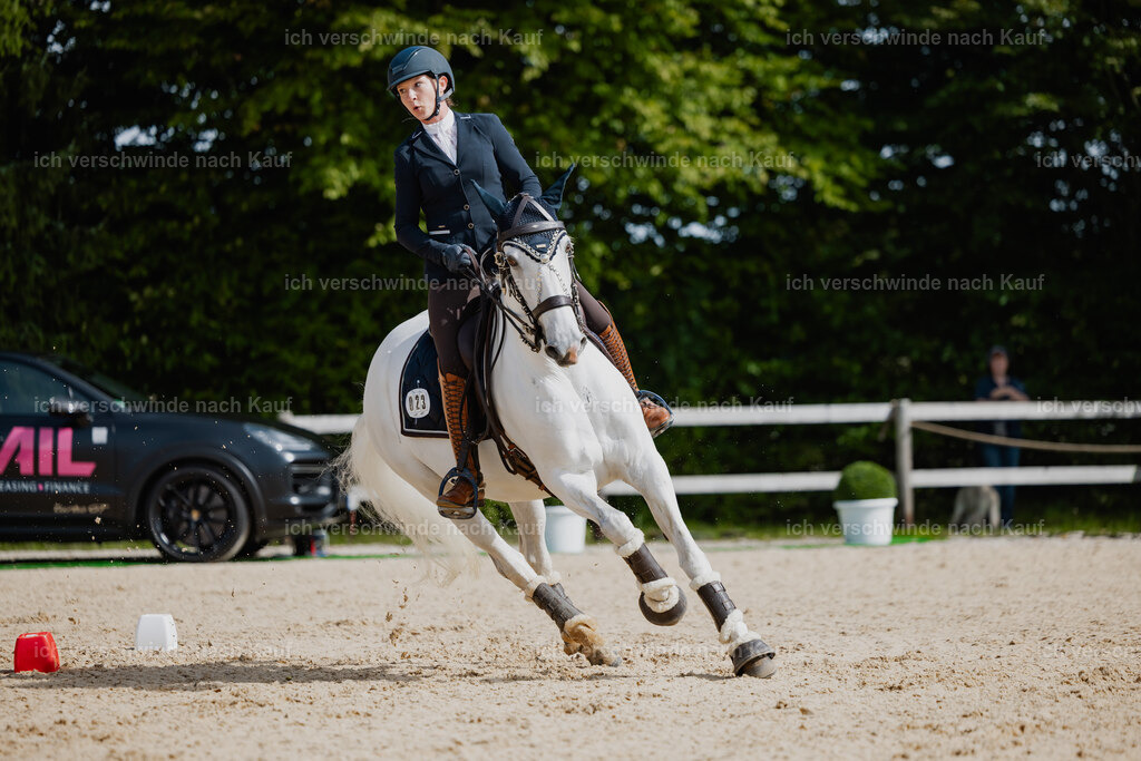 Steffi23_FHC2025-65 | working equitationturnier fotograf videograf stoibphotography marixx film working equitation deutschland reitsport turnierfotografie eventfotografie equestrian events