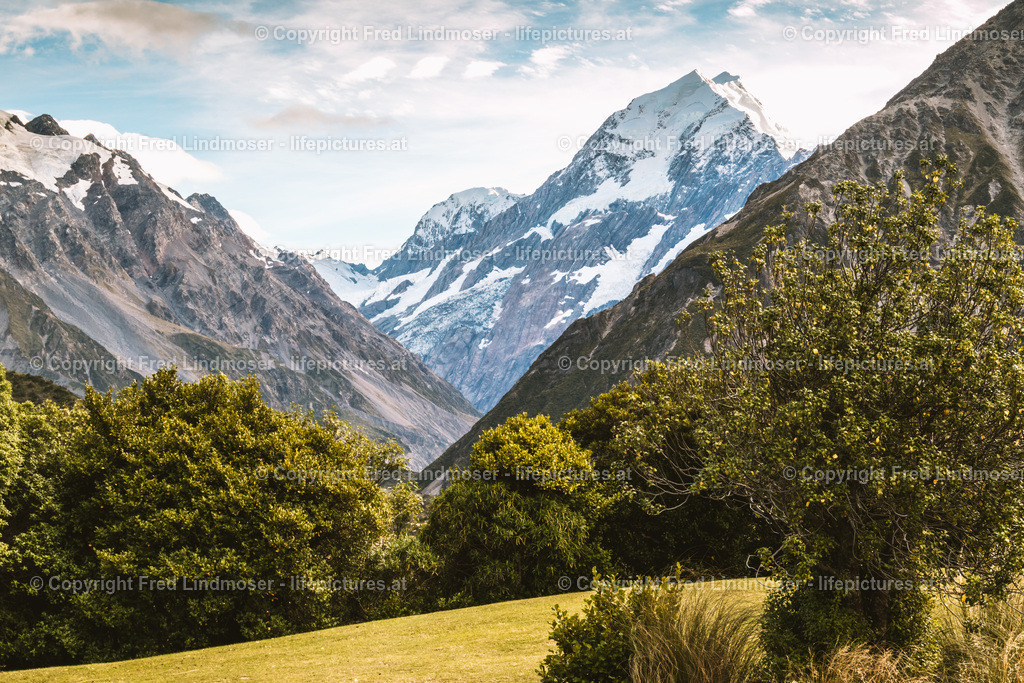 Neuseeland-1029 | Fotos und Fotoprodukte - Realisiert mit Pictrs.com