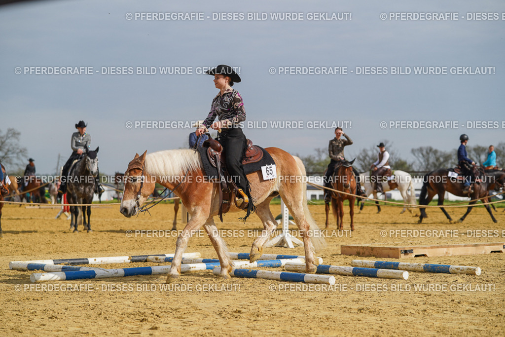 DSC01772 | Pferdegrafie