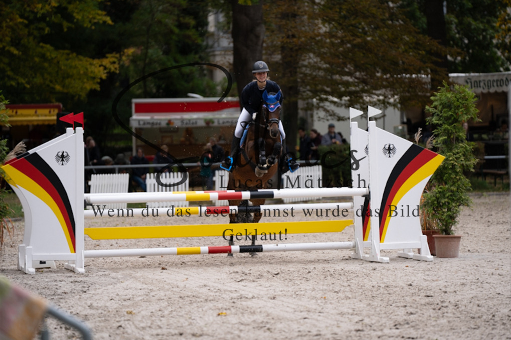 A7V00587 | Pferdefotograf