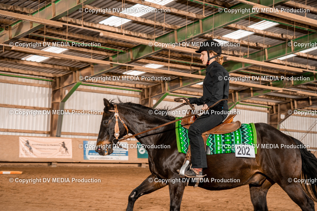 BA300583 | dv-media-shop - Realisiert mit Pictrs.com