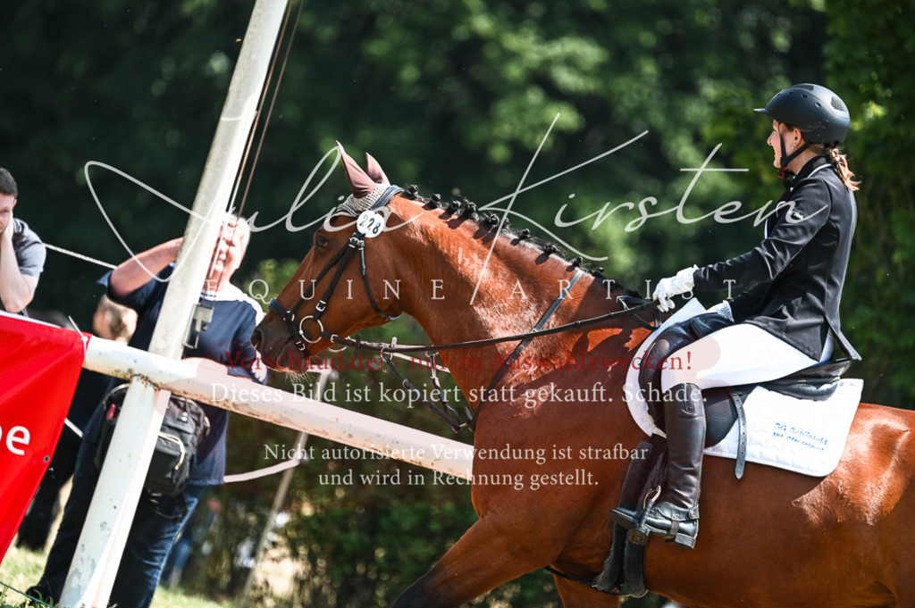 DSC_9903 | Pferde- und Turnierfotografie in Westsachsen. Pferdeportraits, Auftragszeichnungen und intuitive Kunst.