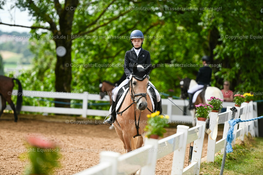 20230716_10-2_Reiter-WB Schritt - Trab - Galopp_0024 | equistock