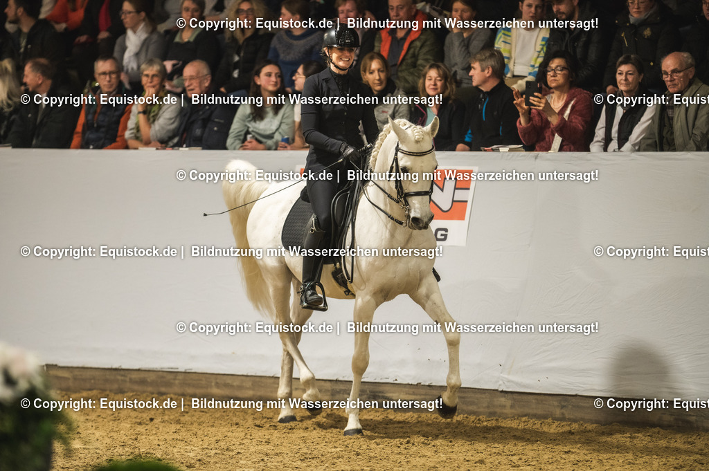 20240302_Hengstvorstellung_Marbach_TOMsPiC_1079 | equistock