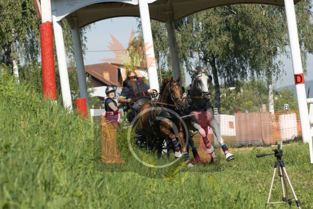 IMG_8082 | kraqueboom - Realisiert mit Pictrs.com