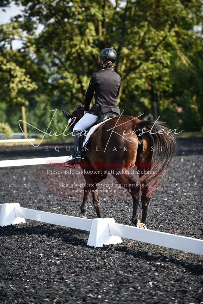 DSC_3185 | Pferde- und Turnierfotografie in Westsachsen. Pferdeportraits, Auftragszeichnungen und intuitive Kunst.