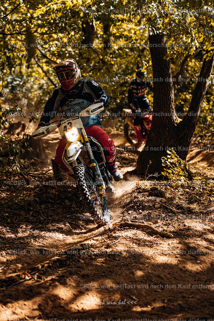 E68A5960 | blick_win_kel