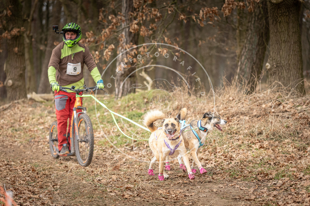 Pfotenfotografie_DV3A2338 | Hundefotografie, Tierfotograf, Pfotenfotografie, Fotoshooting Hund, Hunde Portrait, Hundesport, Hundeportraits, Heideshooting, Hunde, Sportfotograf, Hundefotograf, Turnierhundsport, THS,  - Realisiert mit Pictrs.com