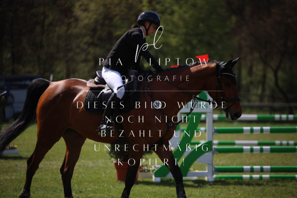 IMGT5531 | pl-fotografie