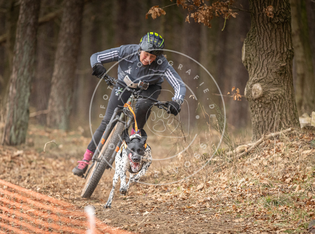 Pfotenfotografie_DV3A2777 | Hundefotografie, Tierfotograf, Pfotenfotografie, Fotoshooting Hund, Hunde Portrait, Hundesport, Hundeportraits, Heideshooting, Hunde, Sportfotograf, Hundefotograf, Turnierhundsport, THS,  - Realisiert mit Pictrs.com
