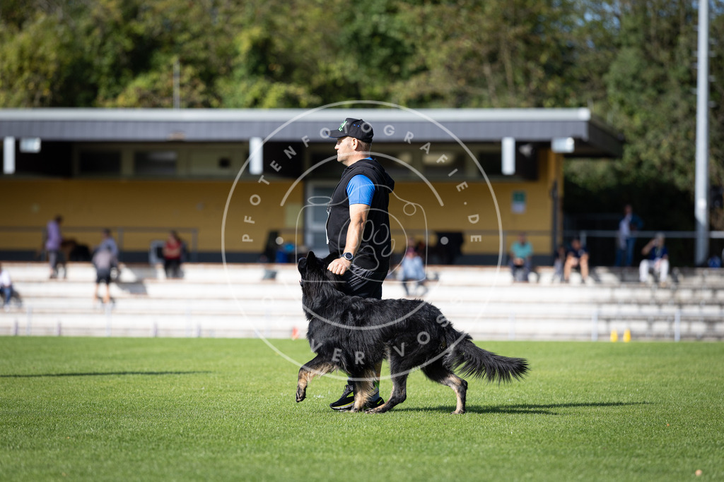 Pfotenfotografie_DV3A4911 | Hundefotografie, Tierfotograf, Pfotenfotografie, Fotoshooting Hund, Hunde Portrait, Hundesport, Hundeportraits, Heideshooting, Hunde, Sportfotograf, Hundefotograf, Turnierhundsport, THS,  - Realisiert mit Pictrs.com