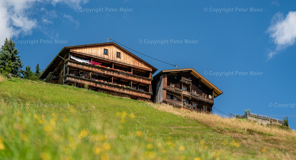 Höfe_Trail_2022-8737 | piet_flosse