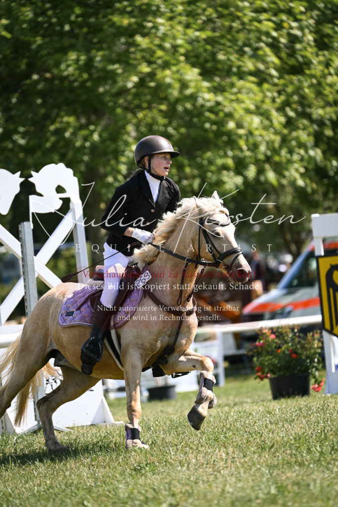 DSC_8829 | Pferde- und Turnierfotografie in Westsachsen. Pferdeportraits, Auftragszeichnungen und intuitive Kunst.