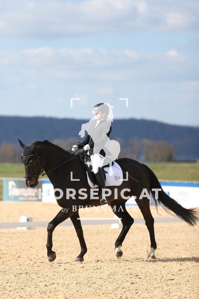 AS8V1834 | Willkommen bei Brunnmayr - Design & Fotografie – Ihrem Spezialisten für Reitturniere und Pferdeveranstaltungen in Oberösterreich, Salzburg und Bayern! Seit über 17 Jahren sind wir leidenschaftlich dabei.