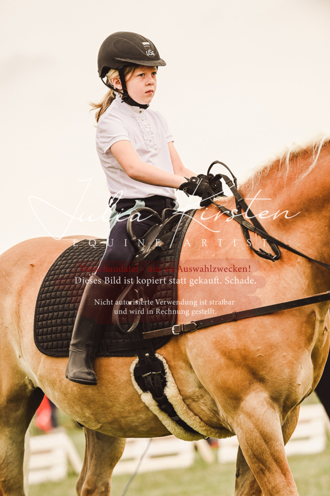 DSC_5257 | Pferde- und Turnierfotografie in Westsachsen. Pferdeportraits, Auftragszeichnungen und intuitive Kunst.
