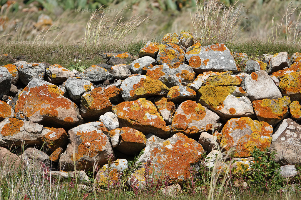 26 | foto-focus-online