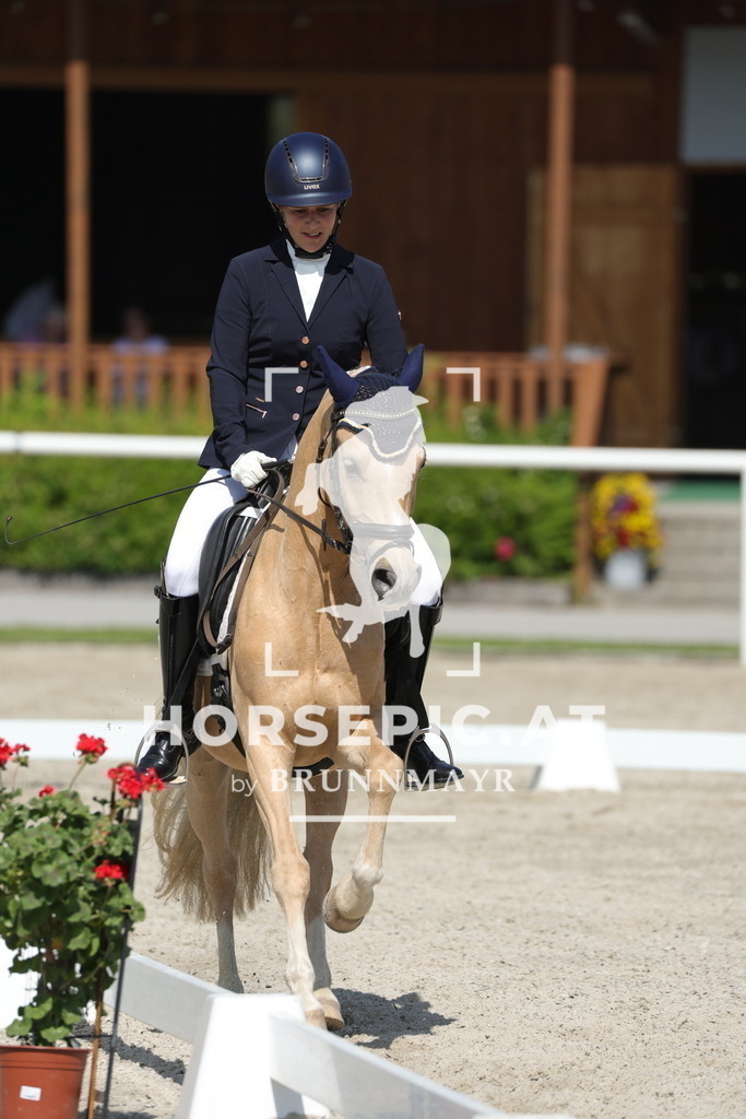 0P6A0601 | Willkommen bei Brunnmayr - Design & Fotografie – Ihrem Spezialisten für Reitturniere und Pferdeveranstaltungen in Oberösterreich, Salzburg und Bayern! Seit über 17 Jahren sind wir leidenschaftlich dabei.