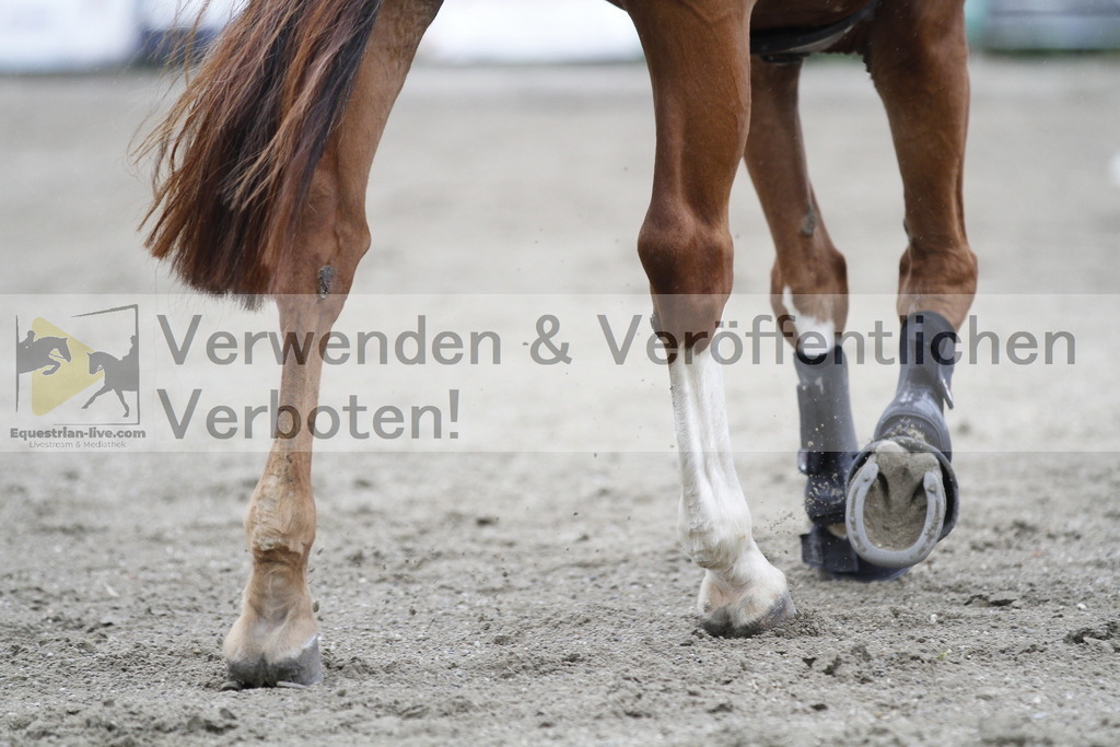 _MG_6641 | equestrian-live-com