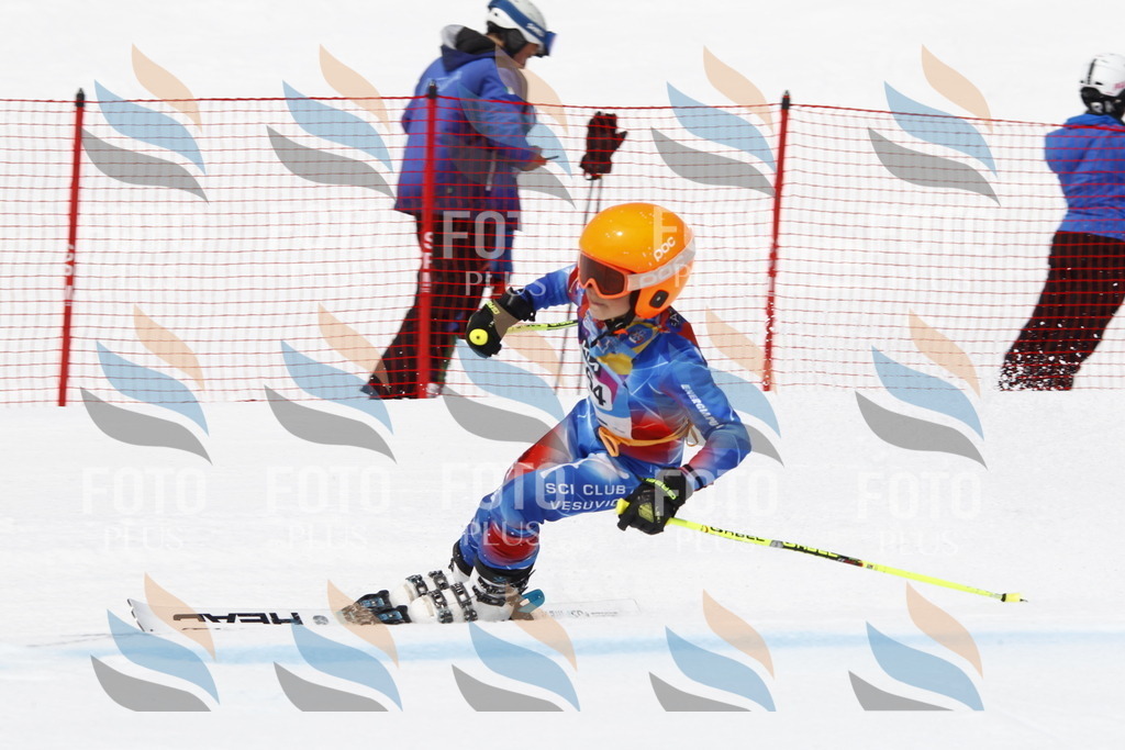 _U3G6620 | holidayphoto