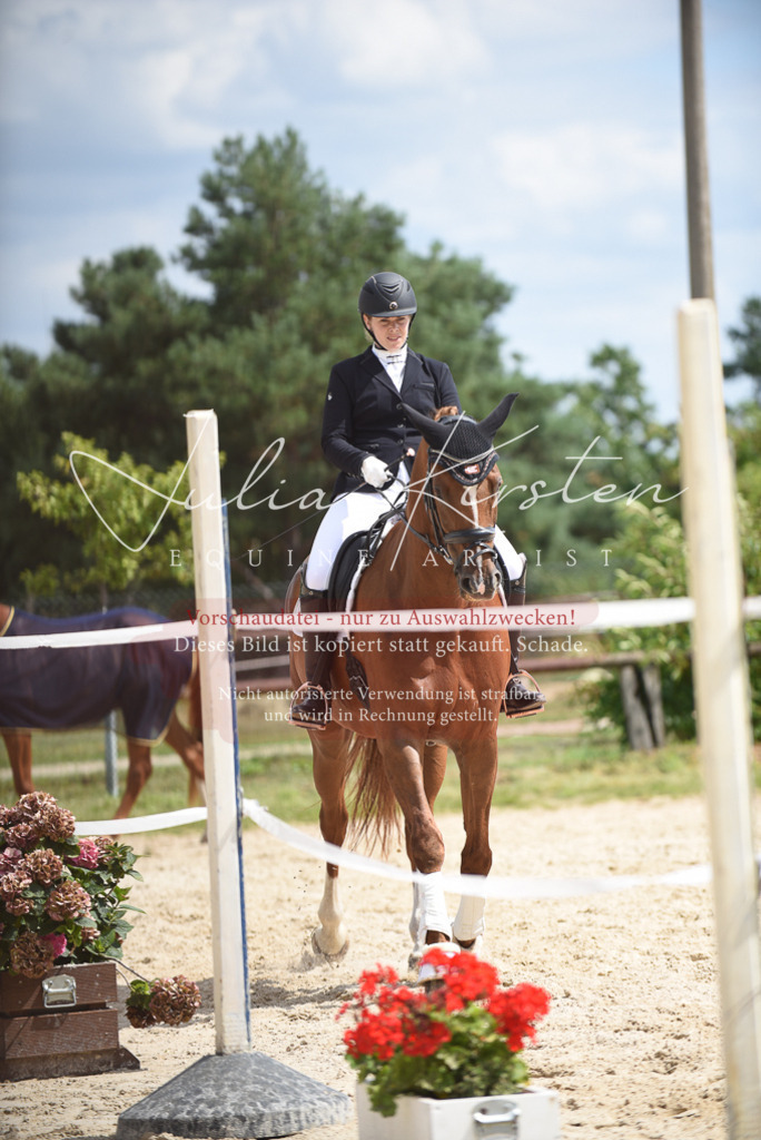 DSC_9001 | Pferde- und Turnierfotografie in Westsachsen. Pferdeportraits, Auftragszeichnungen und intuitive Kunst.