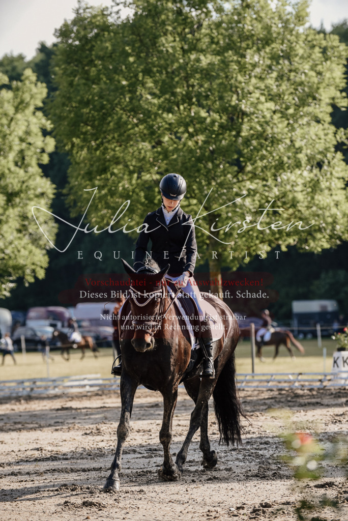 DSC_7813 | Pferde- und Turnierfotografie in Westsachsen. Pferdeportraits, Auftragszeichnungen und intuitive Kunst.