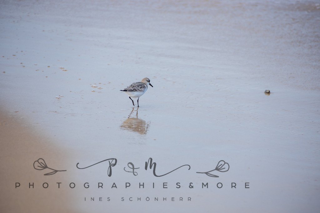 _Grenen22-1836 | Photographies and more - Realisiert mit Pictrs.com