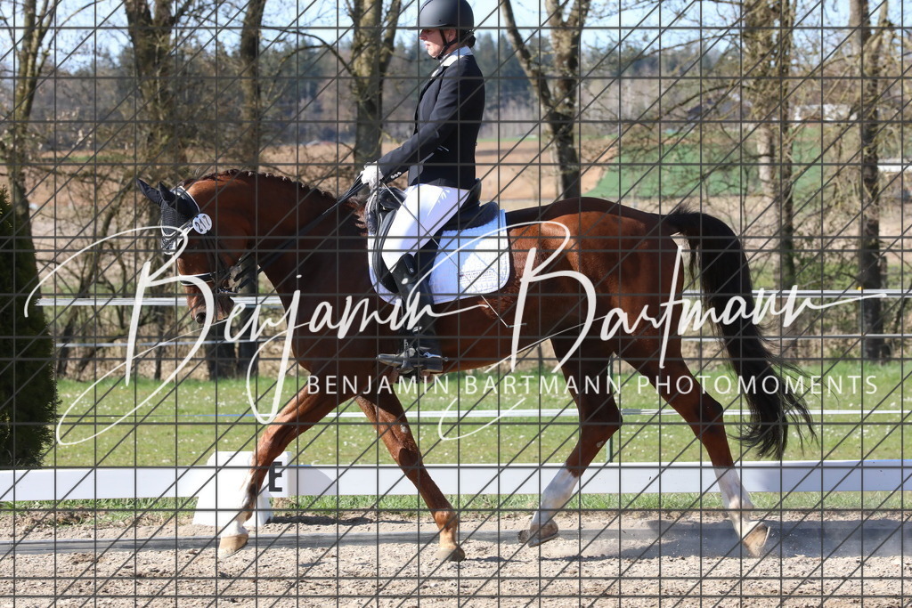 AZ2A5193 | Benjamin Bartmann Photomoments